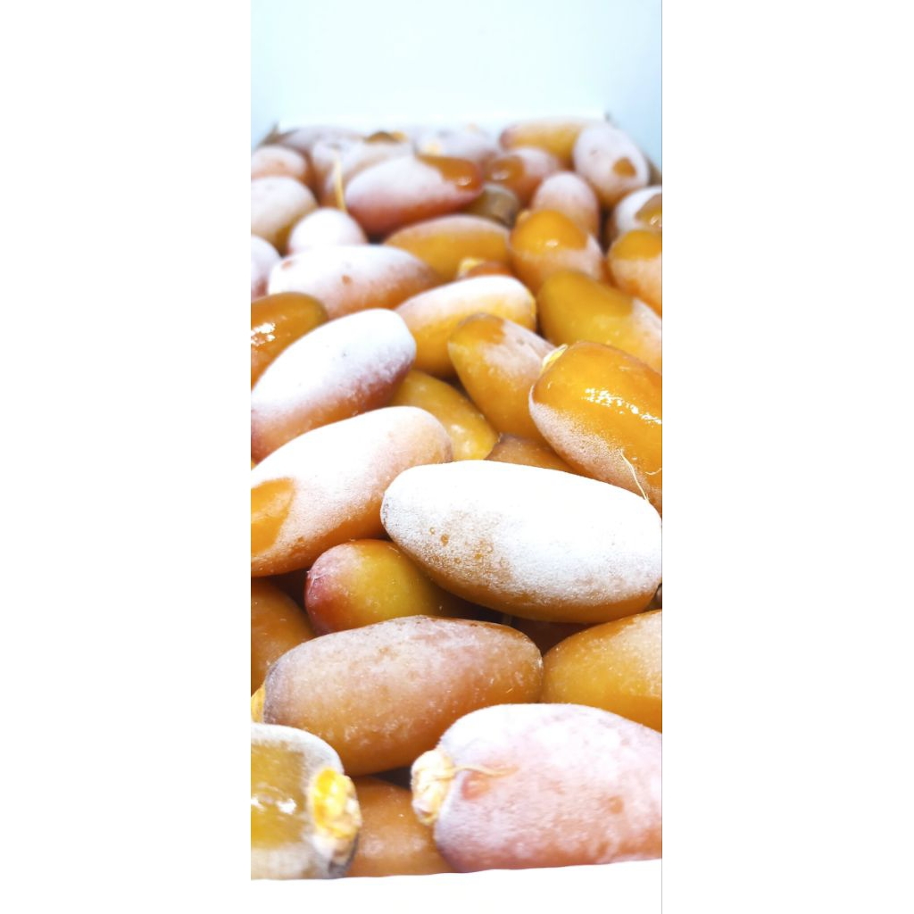 Kurma Ruthob Libya 1 Kg Kurma Fresh kurma basah