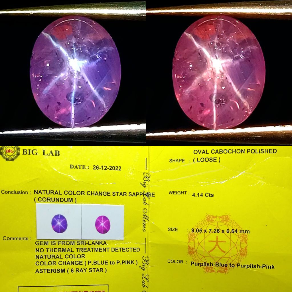 NATURAL STAR COLOR CHANGE SAPPHIRE SRI LANKA NO HEATED PURPLISH BLUE TO PURPLISH PINK MEMO BIG LAB