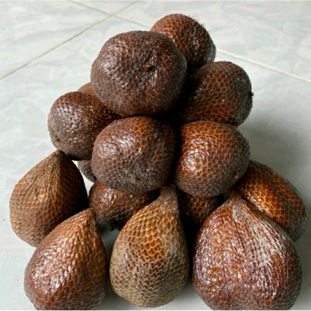 Salak Pondoh Asli Lumajang 1Kg