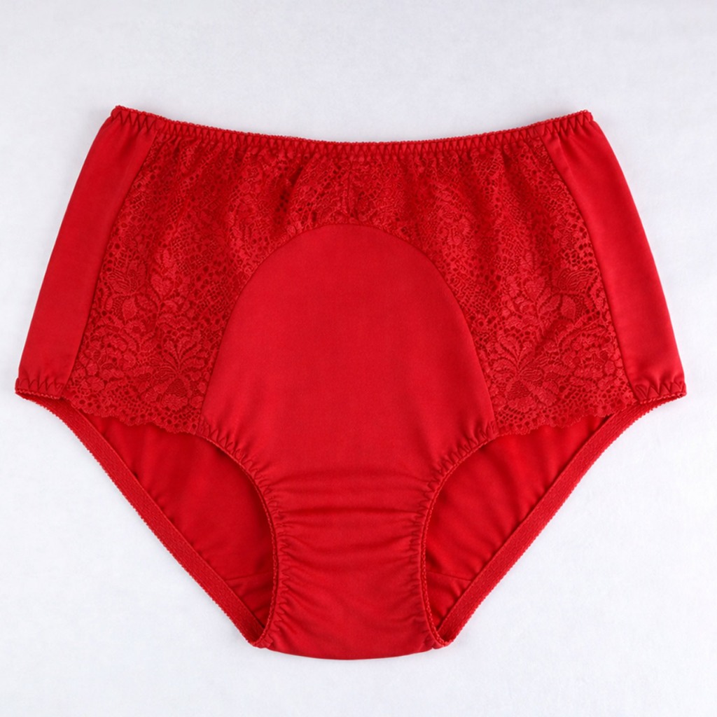 The Brahouse Panty Maxi B02-1727