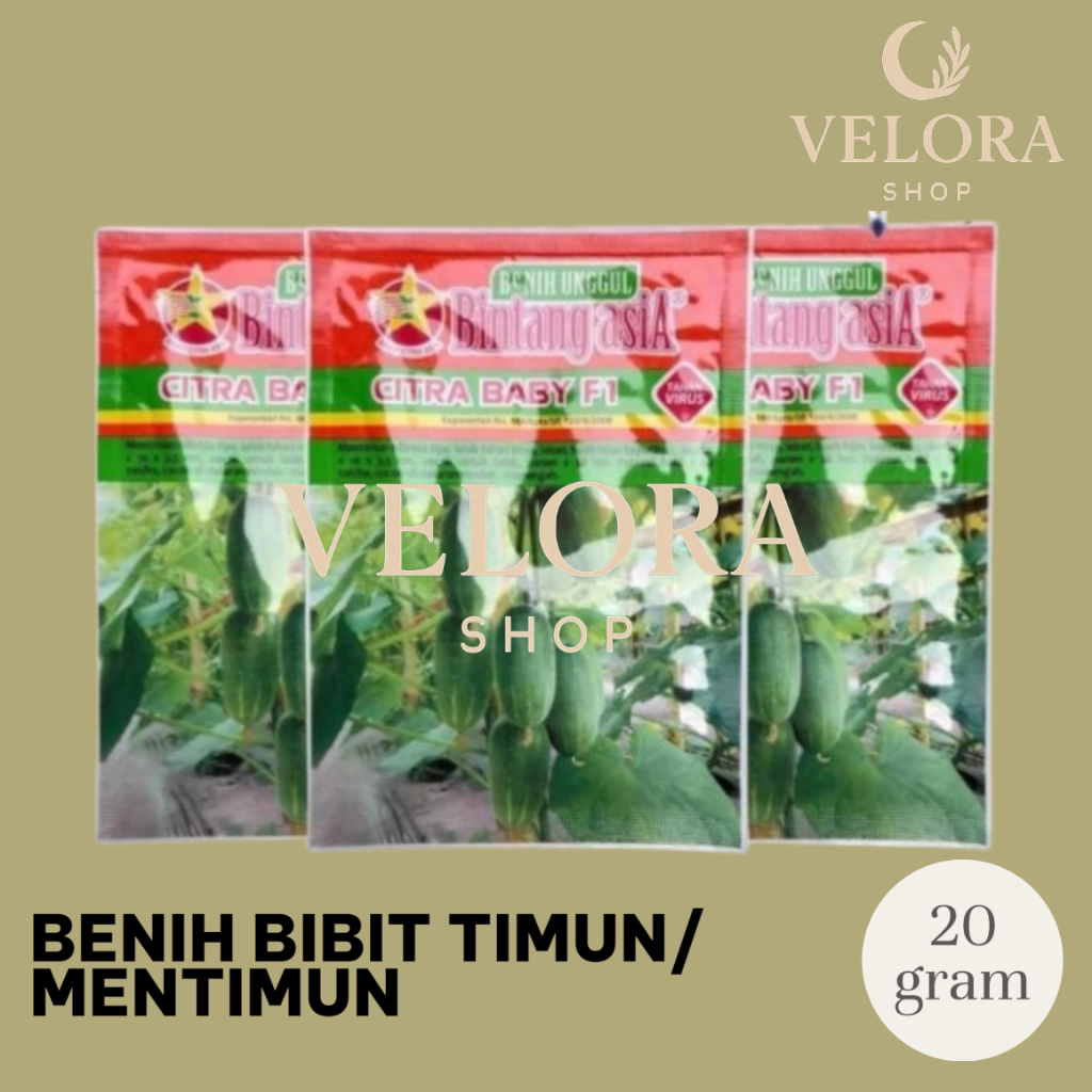 Citra Baby 20gr Benih Timun Bintang Asia Baby Mentimun 007 F1 / Timun Bayi 007 F1