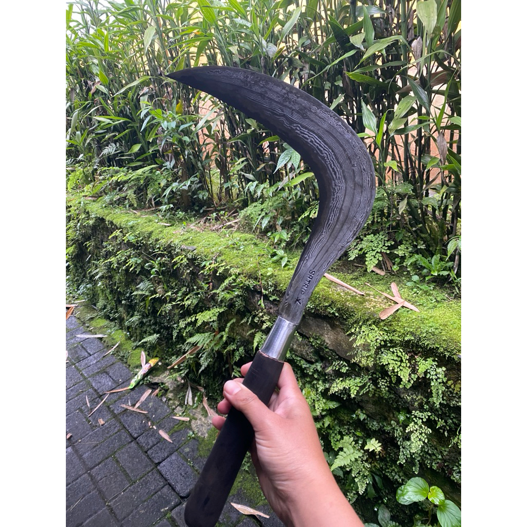 arit rumput baja isen super tajam bahan damascus