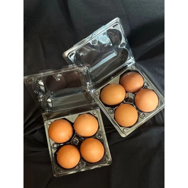 [ 1 PCS ] Mika Tray Telur Bebek / Ayam Isi 4 Murah Berkualitas Dengan Kancing / Mika Telur 4 Lubang 