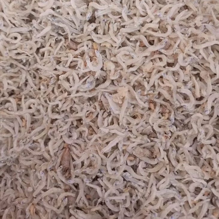 Teri Medan, Teri Medan Kering, Teri Murah