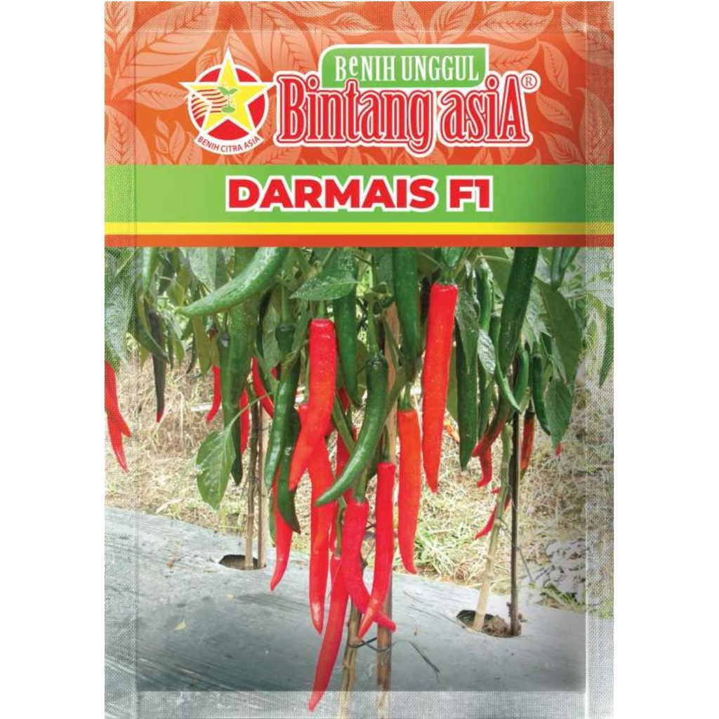 Benih Cabe Besar DARMAIS F1 10Gram Bintang Asia