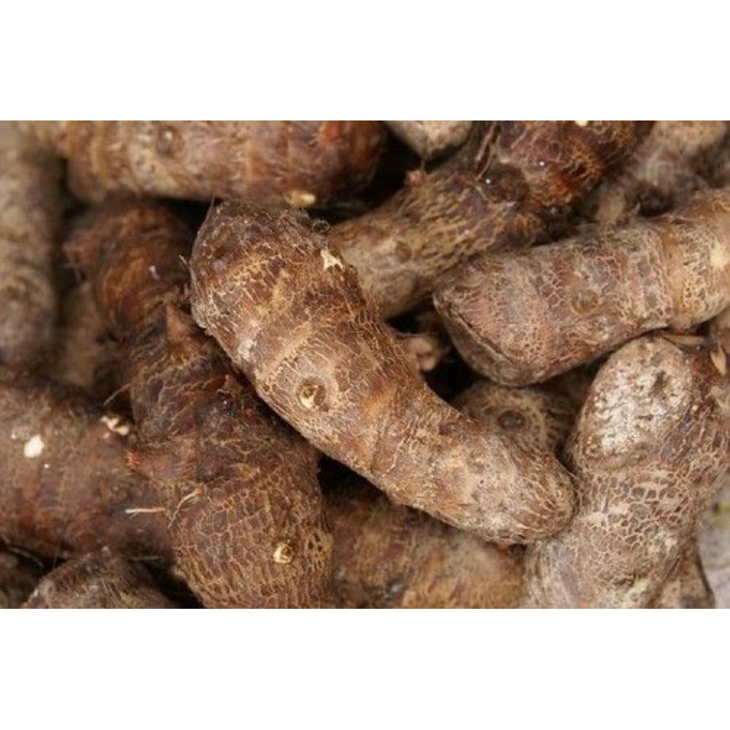 Talas Gajah Segar 1Kg – Umbi Talas Gajah Super Fresh, Talas Gajah Besar Berkualitas, Umbi Talas Loka