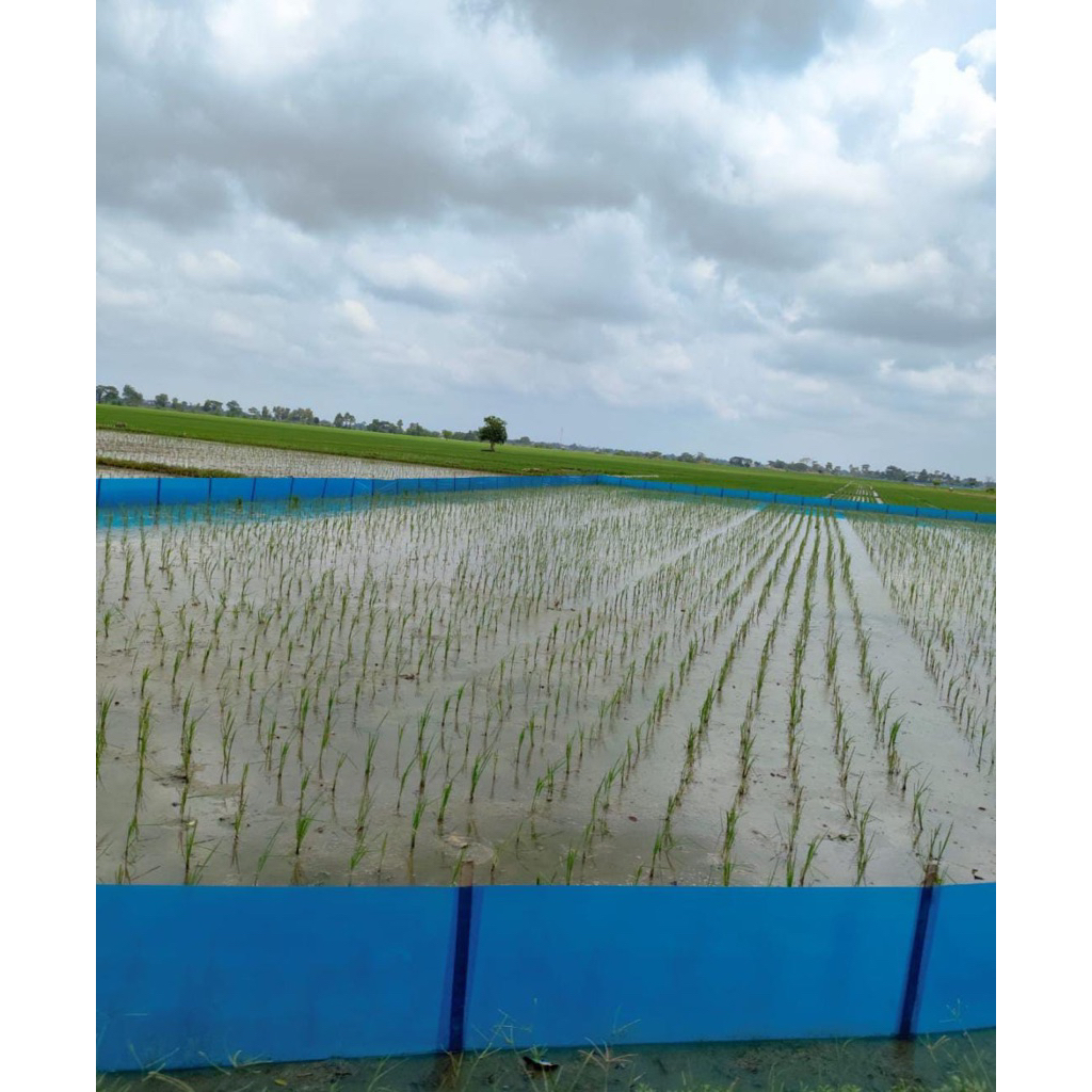 Plastik pagar sawah