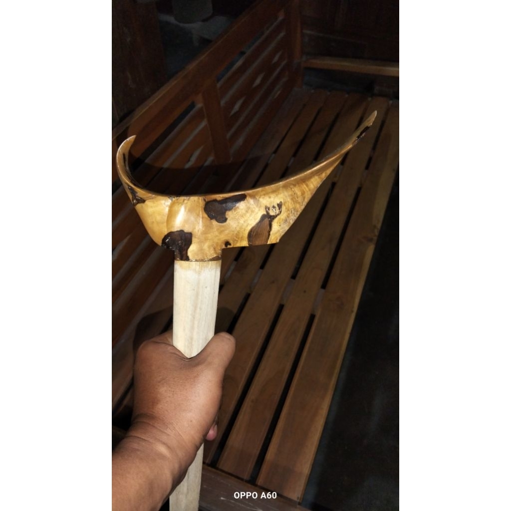 Branggah jogja timoho