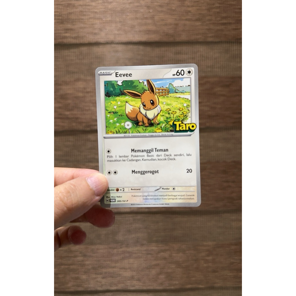 TCG Pokemon Taro Eevee