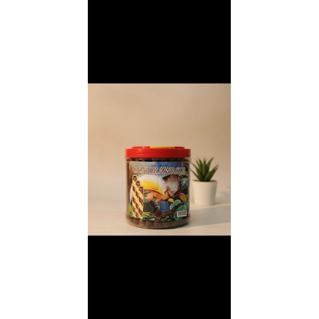 astor cendrawasih 1 dus isi 6