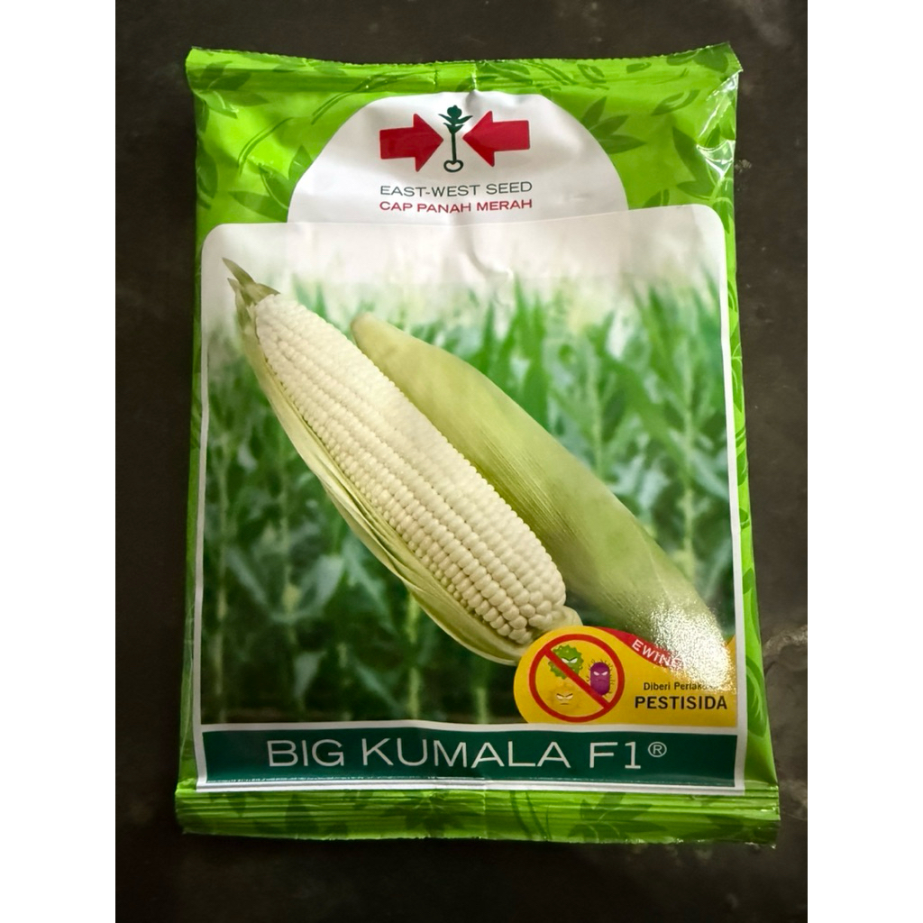 Benih Jagung Ketan Putih BIG KUMALA Isi 1500 Biji