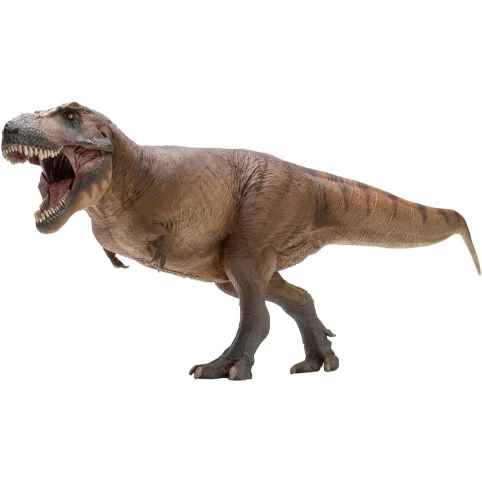 PNSO Dinosaur Museums Series (Cameron The Tyrannosaurus rex