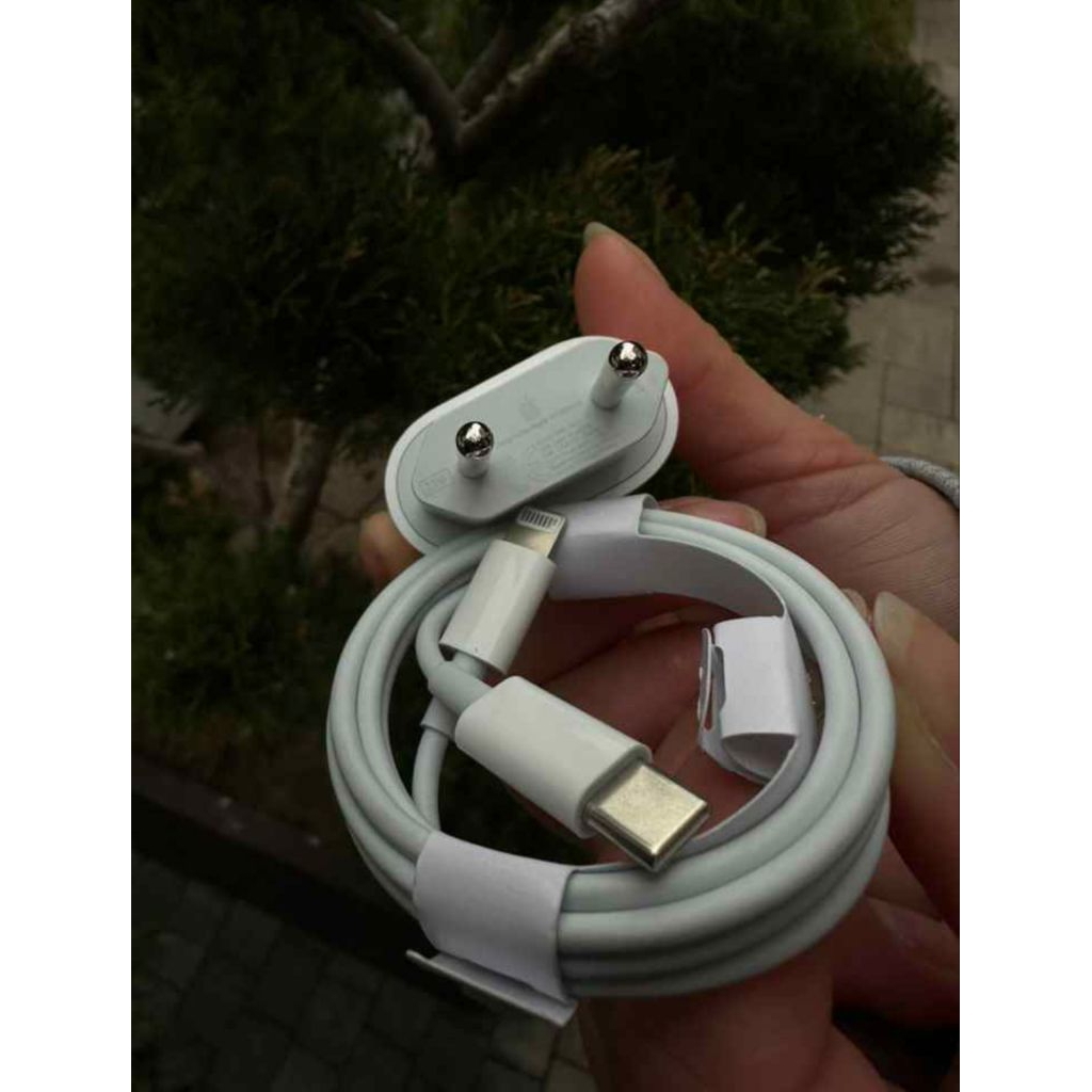 charger iphone original