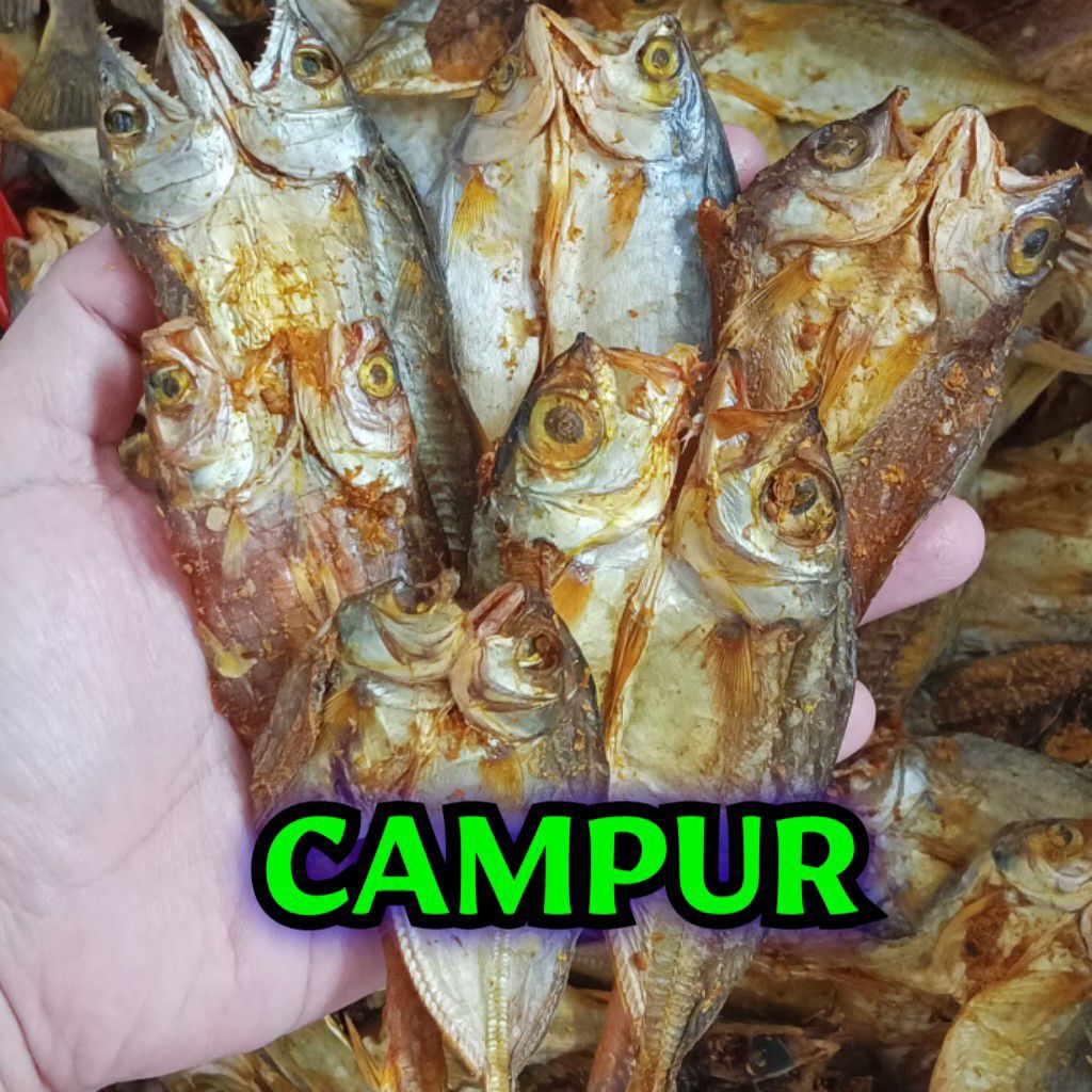Dendeng Ikan Kering (CUKUP Bumbu)