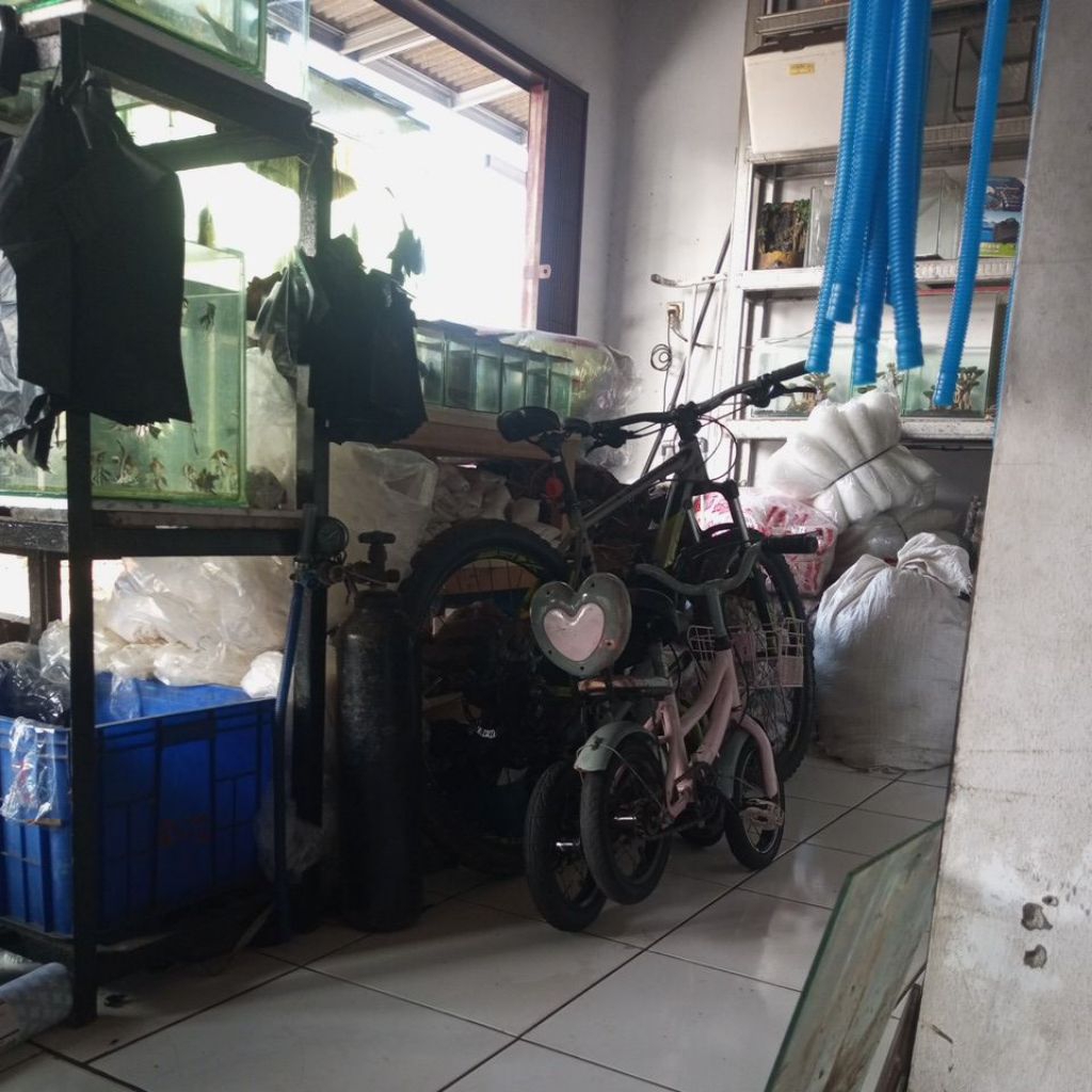 polygon premier 5 kondisi mulus