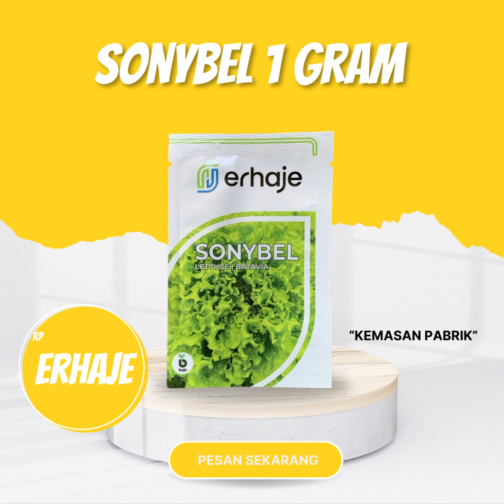 Benih selada batavia SONYBEL bejo seed