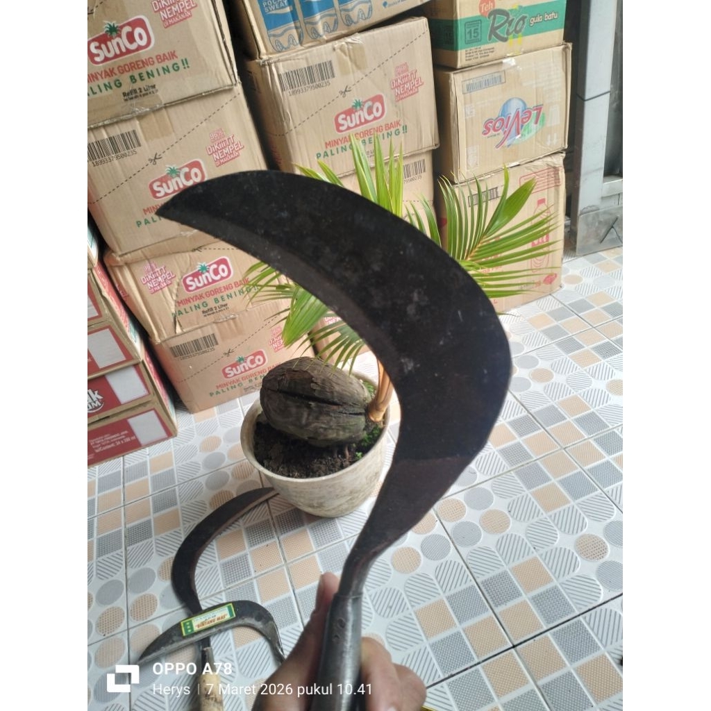 sabit/arit potong rumput ukuran besar tajam