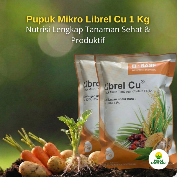 Pupuk Mikro Librel Cu 1 Kg Atasi Daun Pucat Pertumbuhan Lambat