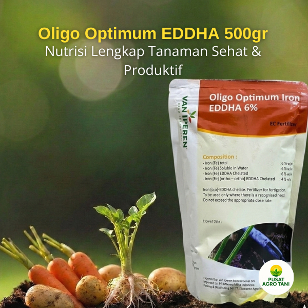 Oligo Optimum Fe Eddha 500 gram Pupuk Daun Hijau Tanaman Segar Sehat