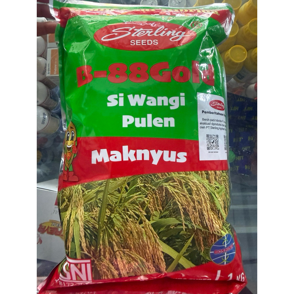benih padi hibrida MAKNYUS sterling seed