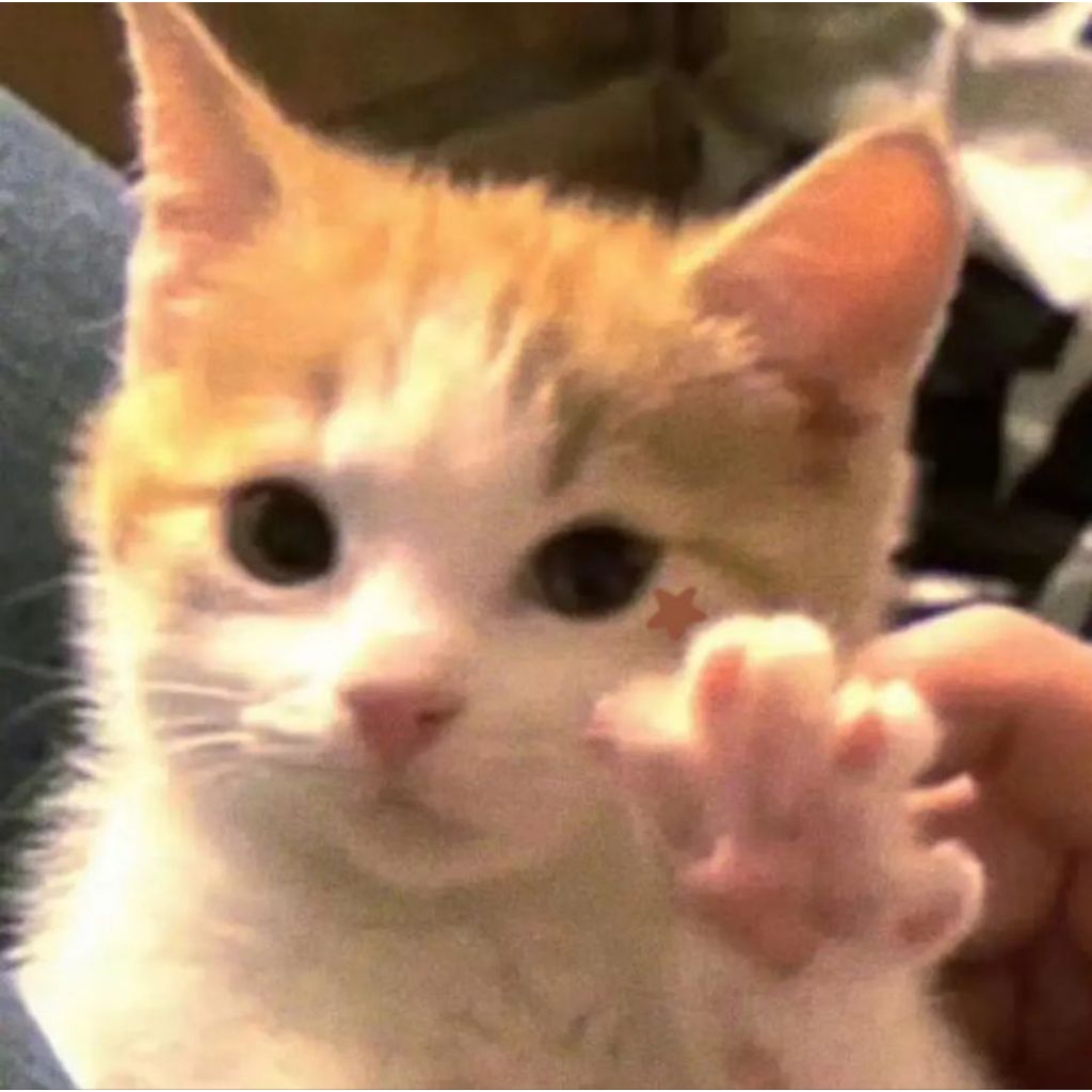 anne of avonlea keep