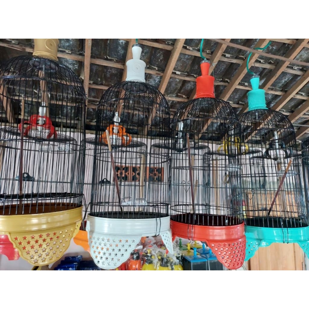 sangkar burung pleci helopet