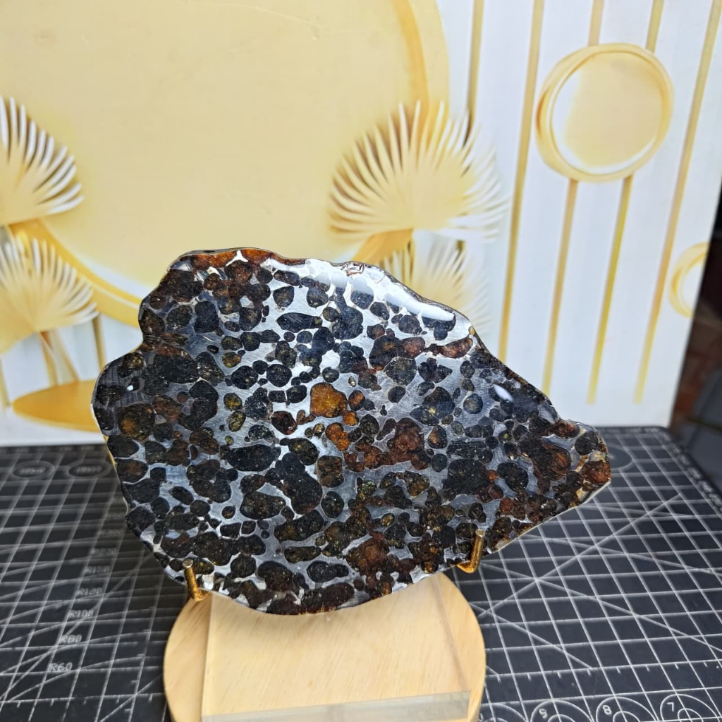 Natural Pallasite kenya Sericho Olive Meteorite Slab / Slice (1)