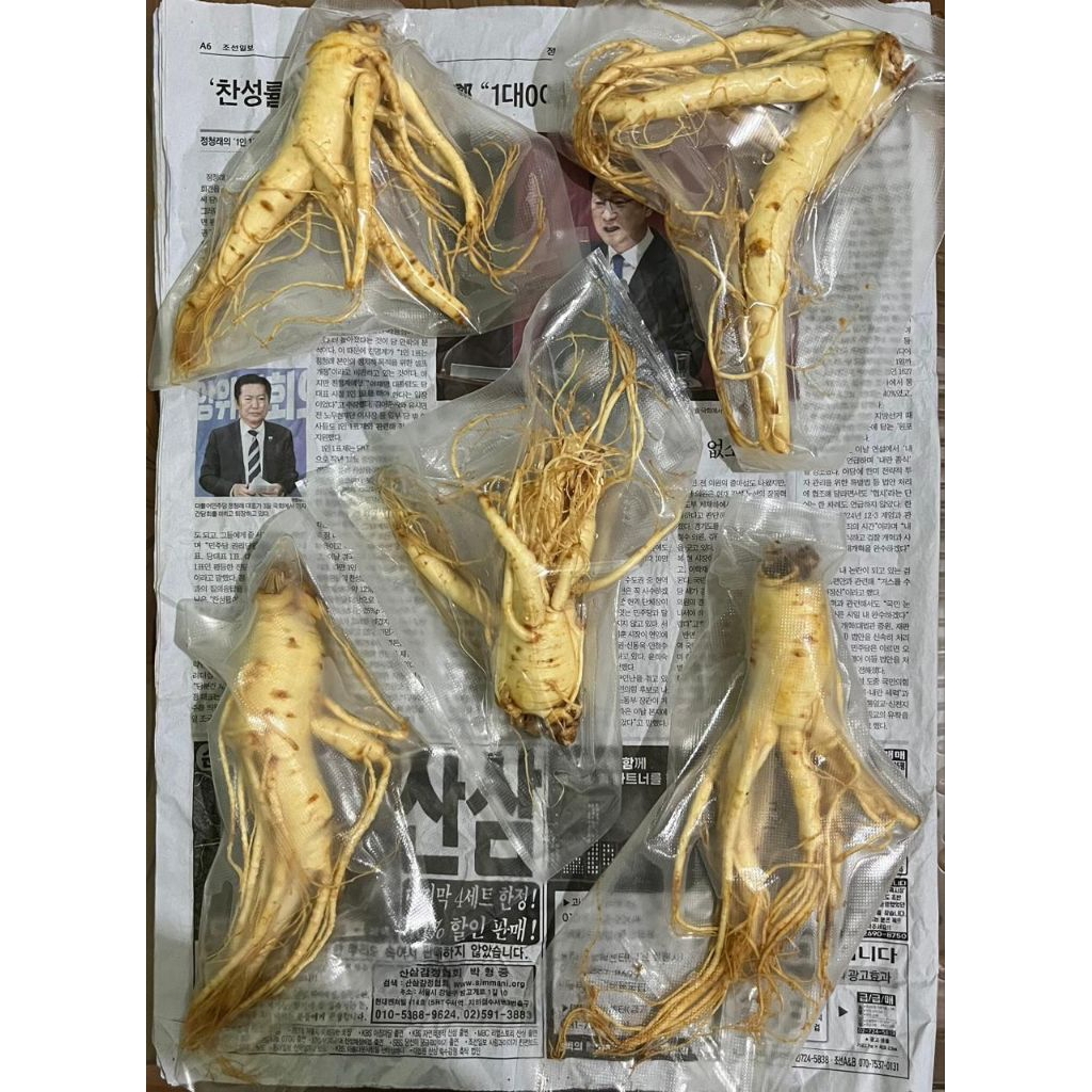 Ginseng Korea Jumbo