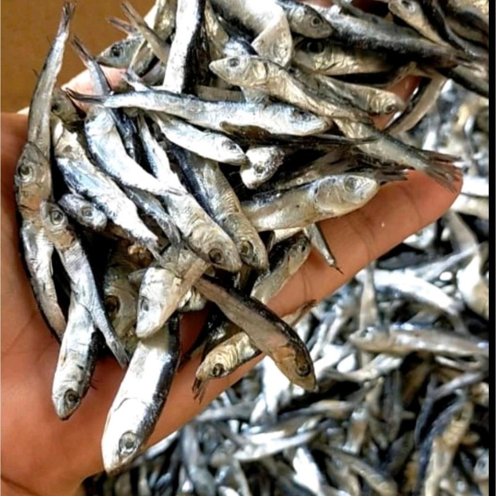 ikan asin teri lemet 250gram Ikan Asin Tembang Kecil Lemet Ikan Asin Semenit Ikan Lemuru Ikan Asin T