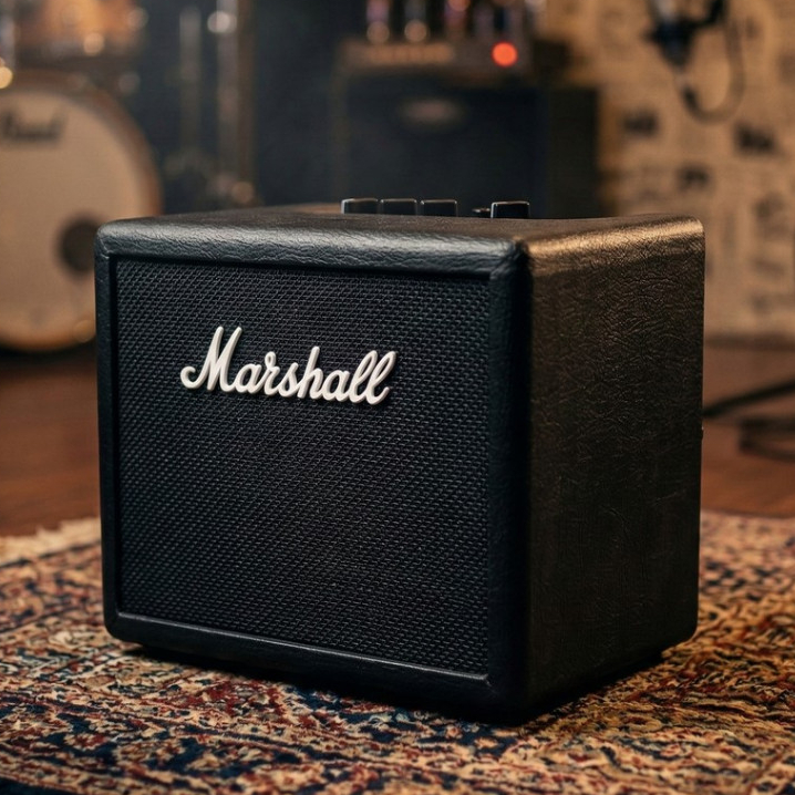 Ampli Gitar & Bass 5 Inch bluetooth ada & efek distorsi & efek delay 2 Input Bonus Kabel Jack & Sena