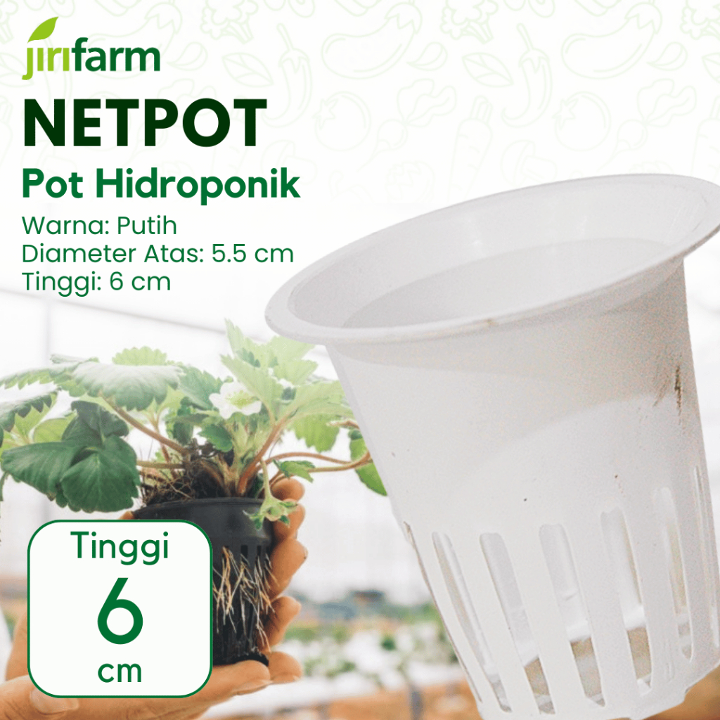 JIRIFARM - Net Pot Netpot Hidroponik Diameter 5 cm Tinggi 6 cm Putih