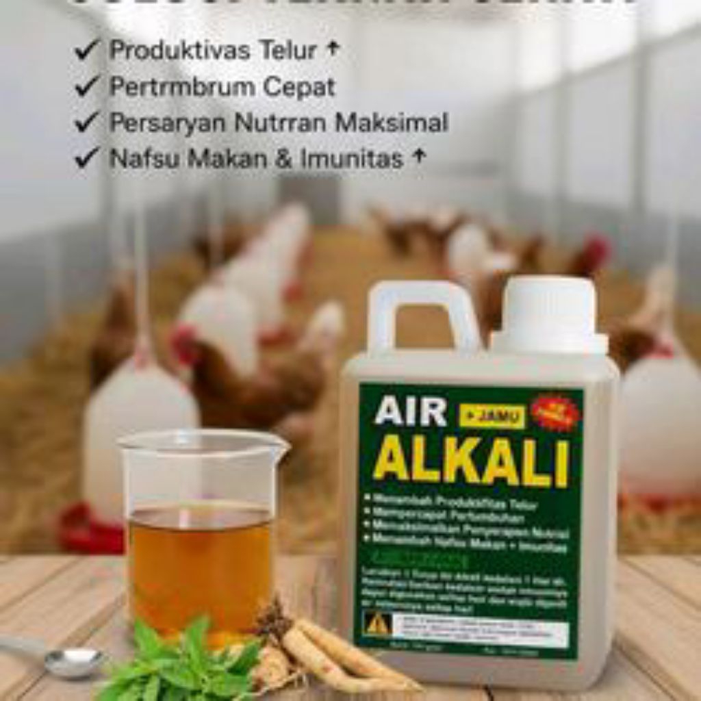 Air Alkali jamu ayam petelur dan mempercepat pertumbuhan