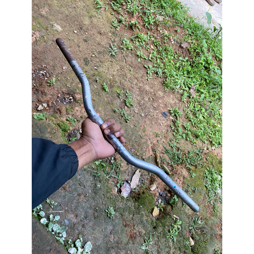 Stang Byson Original