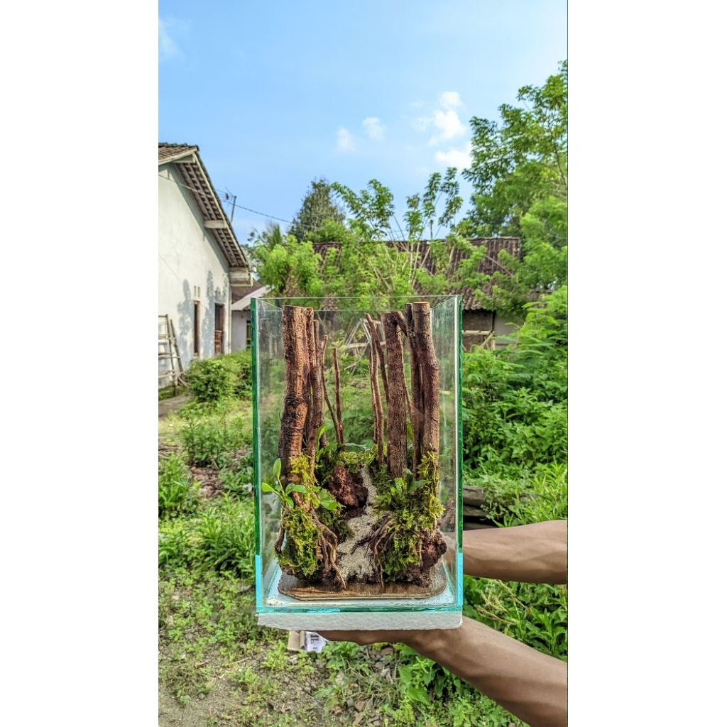 Aquascape Tema hutan aquarium tower 20*30