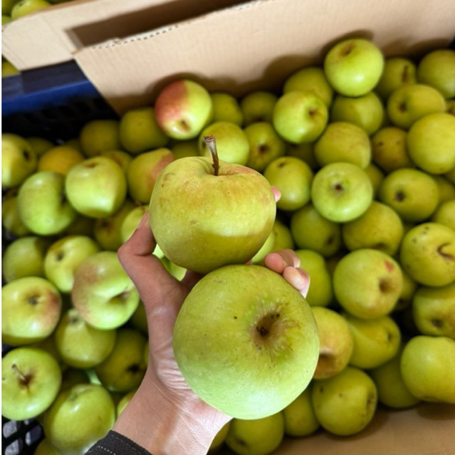 APEL MANALAGI UKURAN SEDANG MALANG 1KG ISI 10-15 BUAH