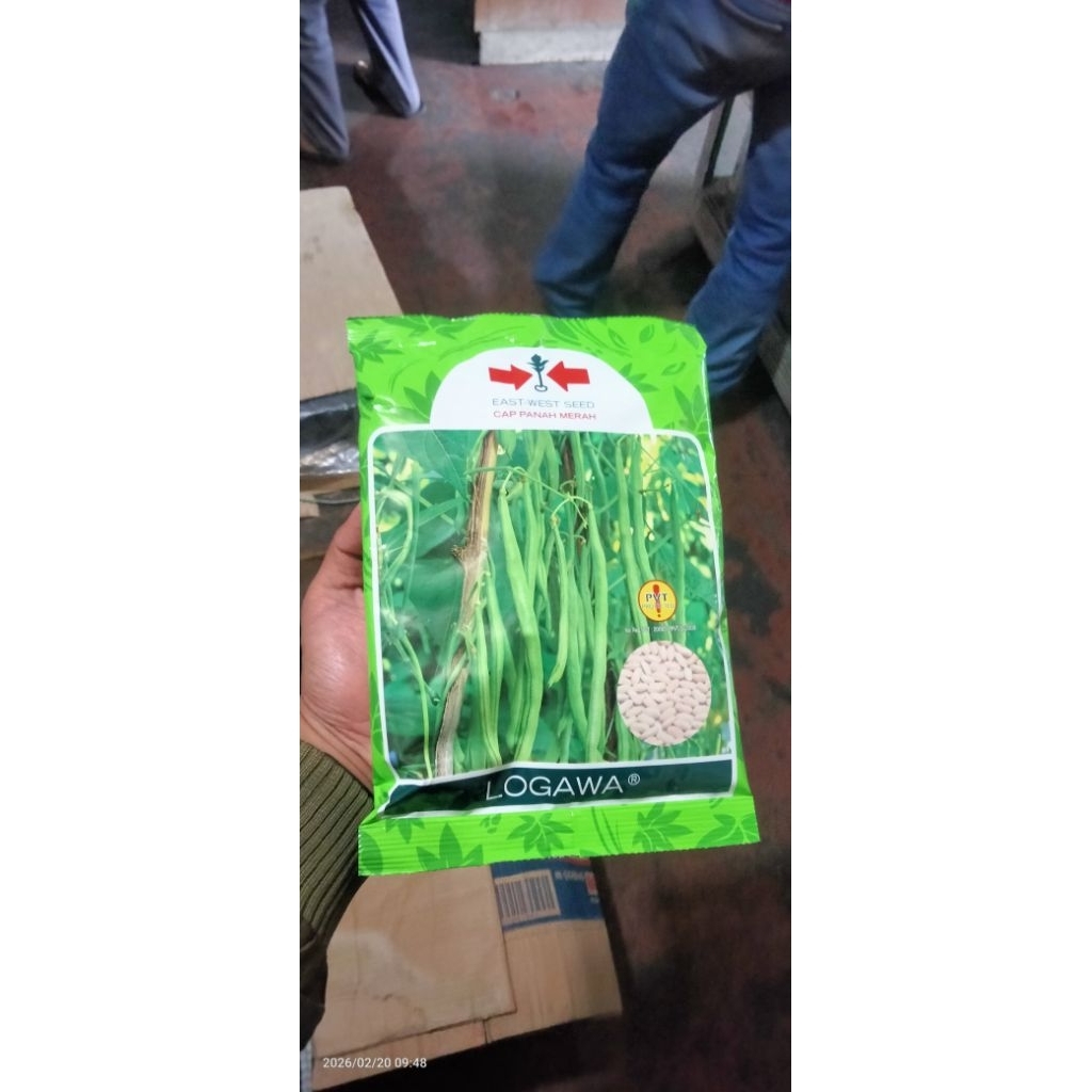 Benih Buncis Logawa 500gram