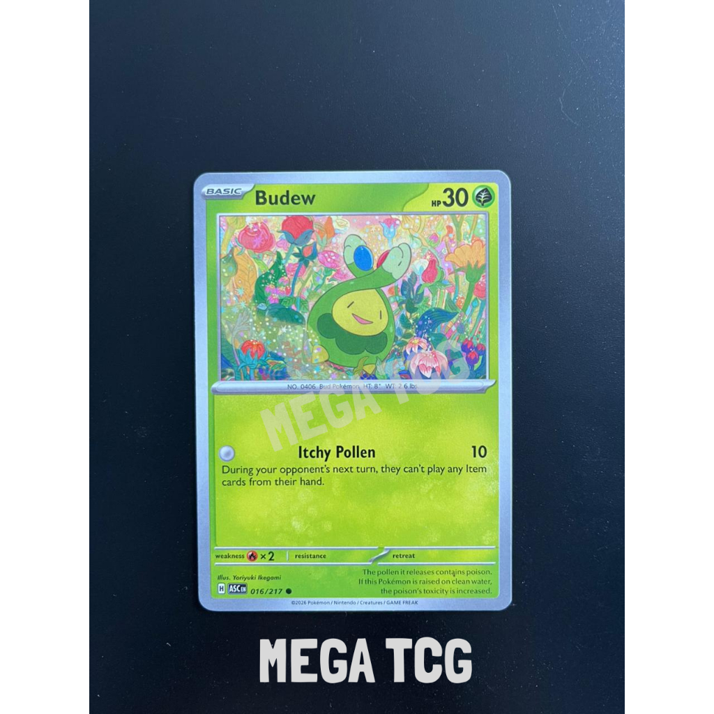 Budew - ASC/016/217 - Kartu Pokemon English