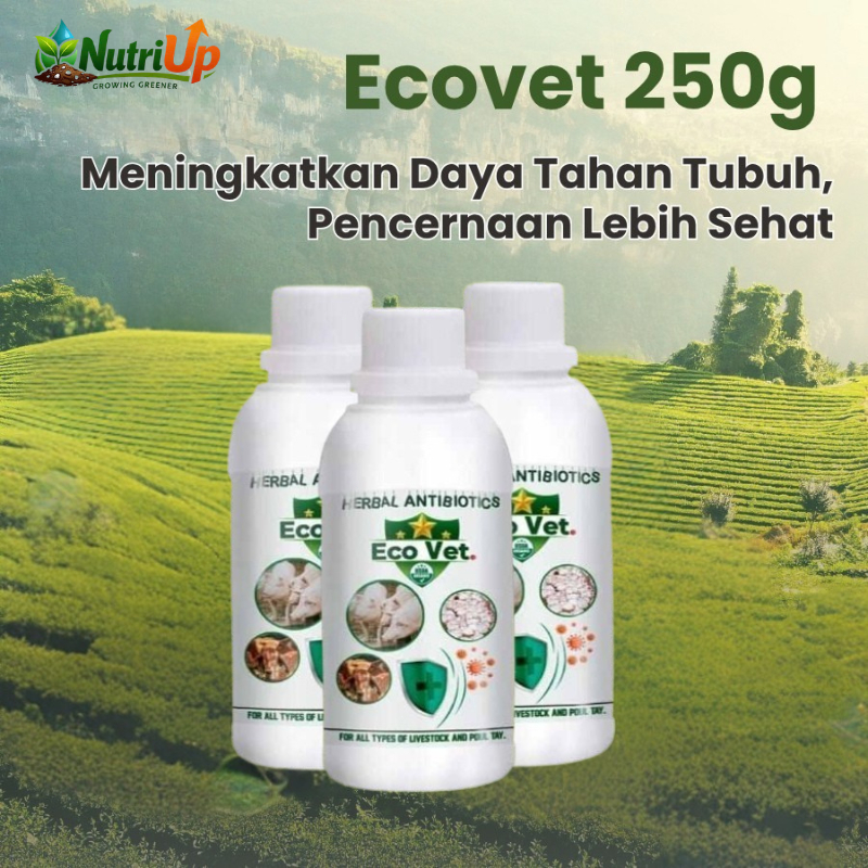 Probiotik Ecovet 250g – Pakan Tambahan Ternak untuk Ayam, Bebek & Hewan Ternak | Meningkatkan Imunit