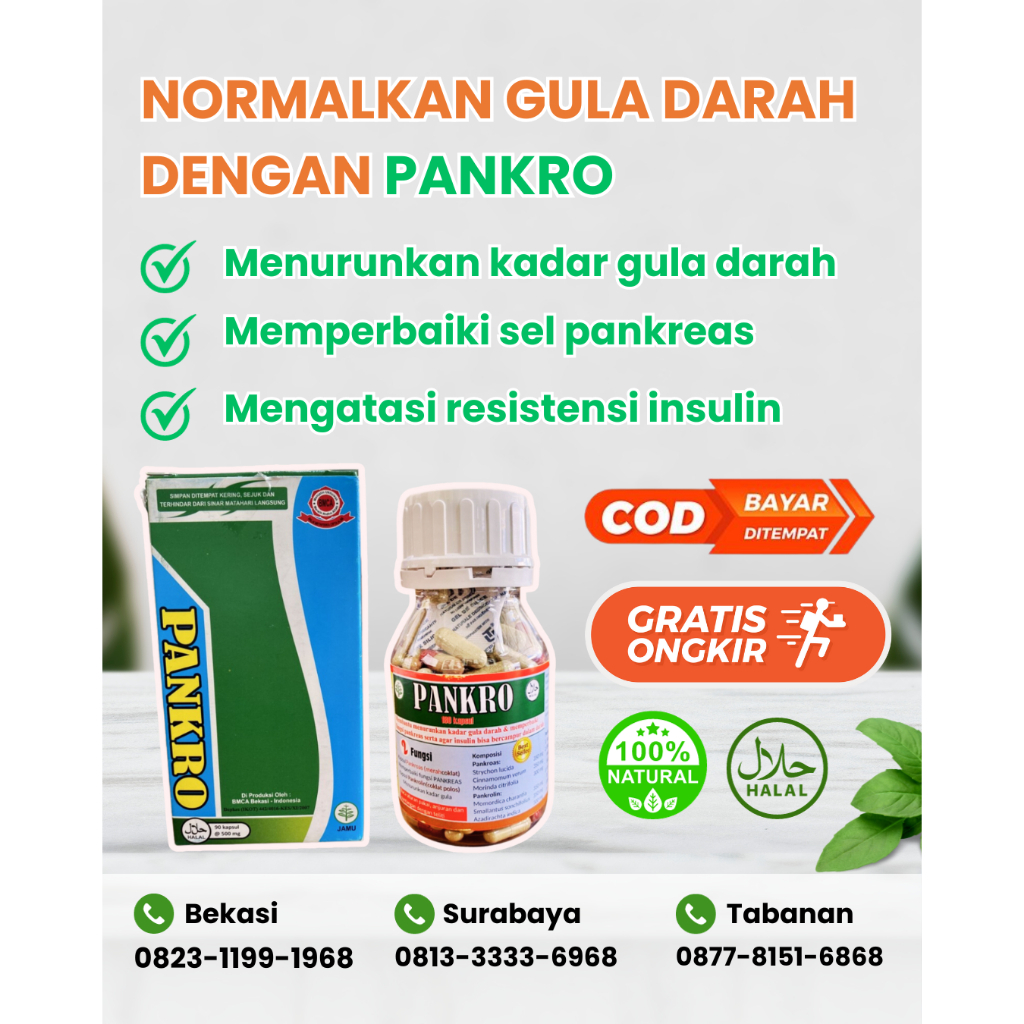 Obat Herbal Diabetes PANKRO BESAR 180 Kapsul CC/CP/MC