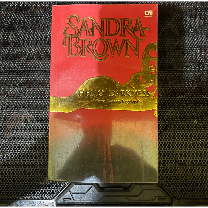 Novel Sandra Brown Hello Darkness