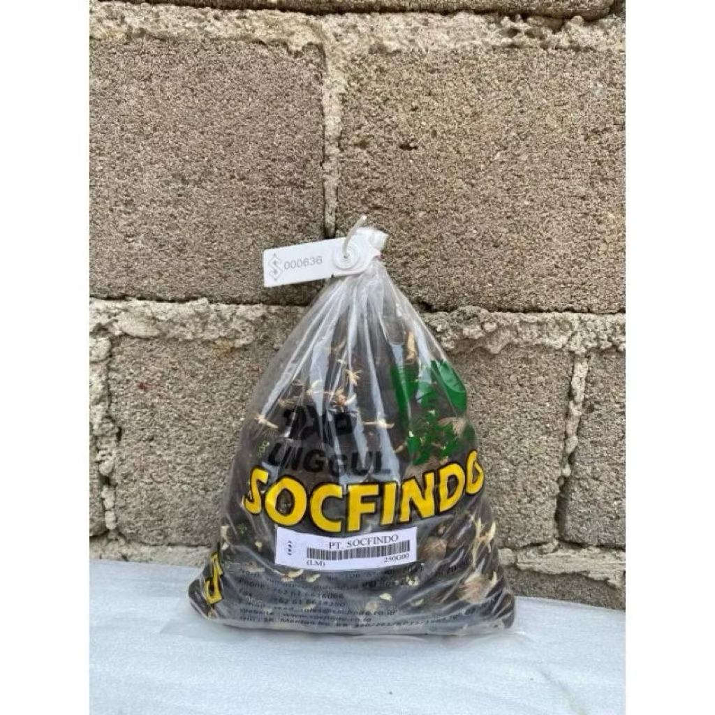 benih Sawit DXP SOCFINDO berkualitas untuk masyarakat