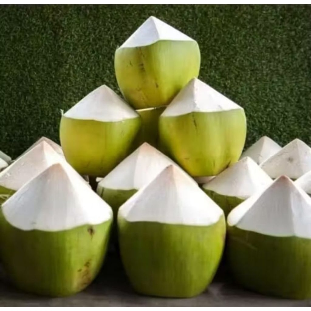 Degan buah kelapa muda GENJAH ENTOK HIJAU, utuh 1 biji fresh dan segar herbal berkhasiat