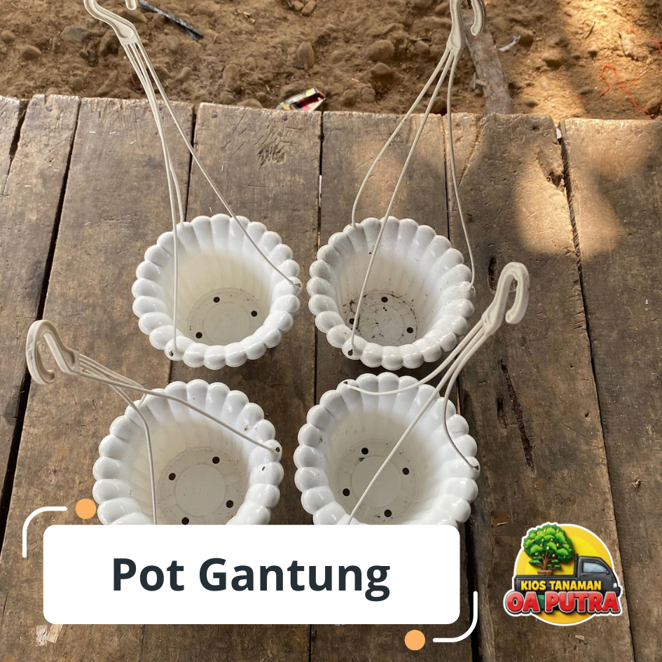 Pot Tanaman Gantung warna putih