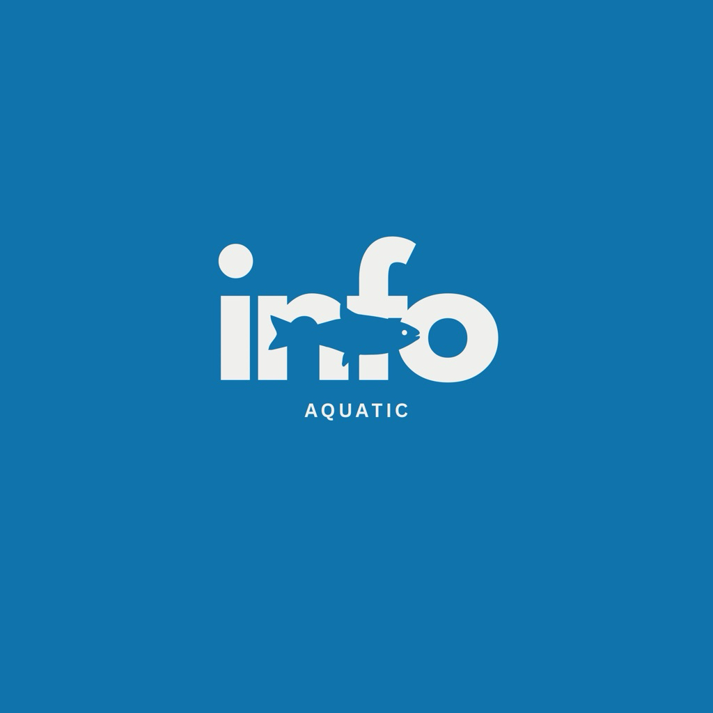 Asiatica WS High Fin 5-6