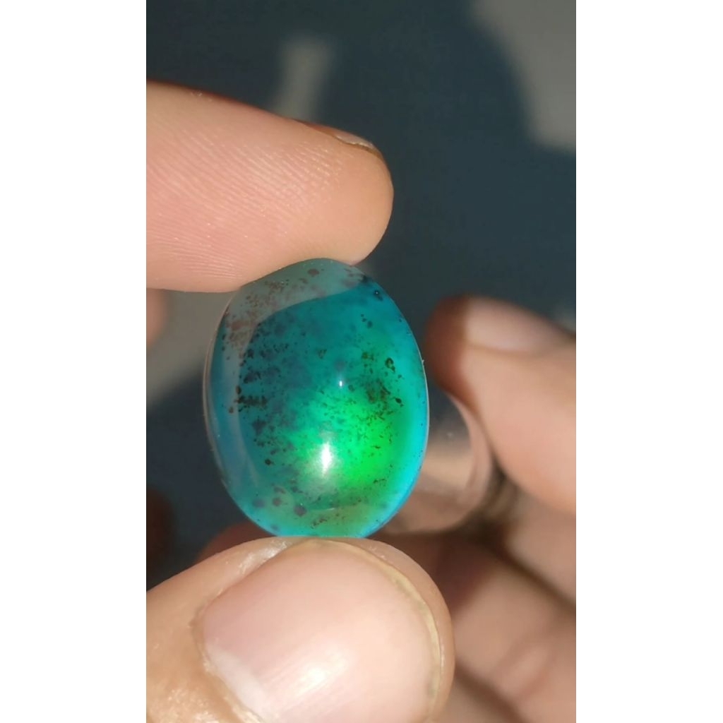 Bacan doko majiko coklat