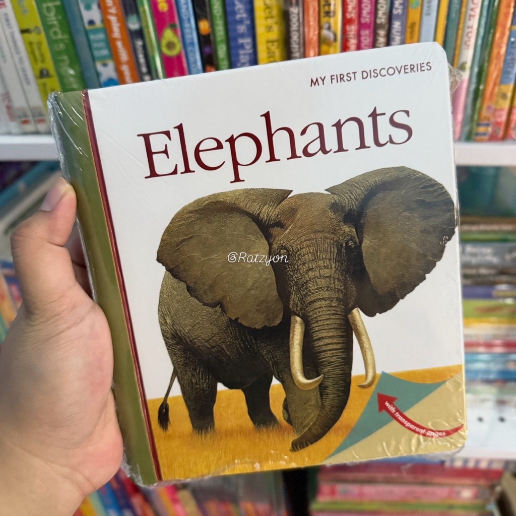 My First Discovery Hardbook Spiral Polar/Insect/Elephants