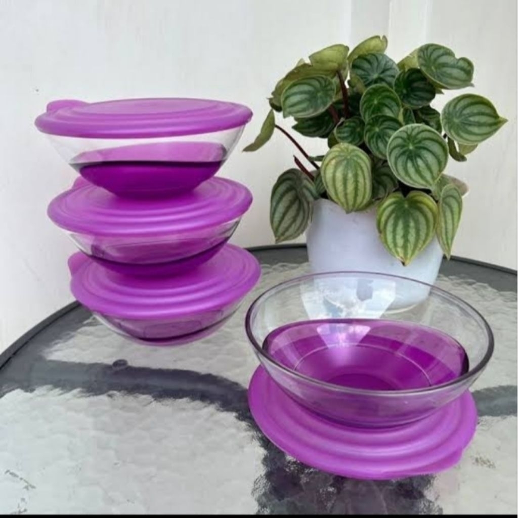 Eleganzia  Bowl 600ml Tupperware (4)
