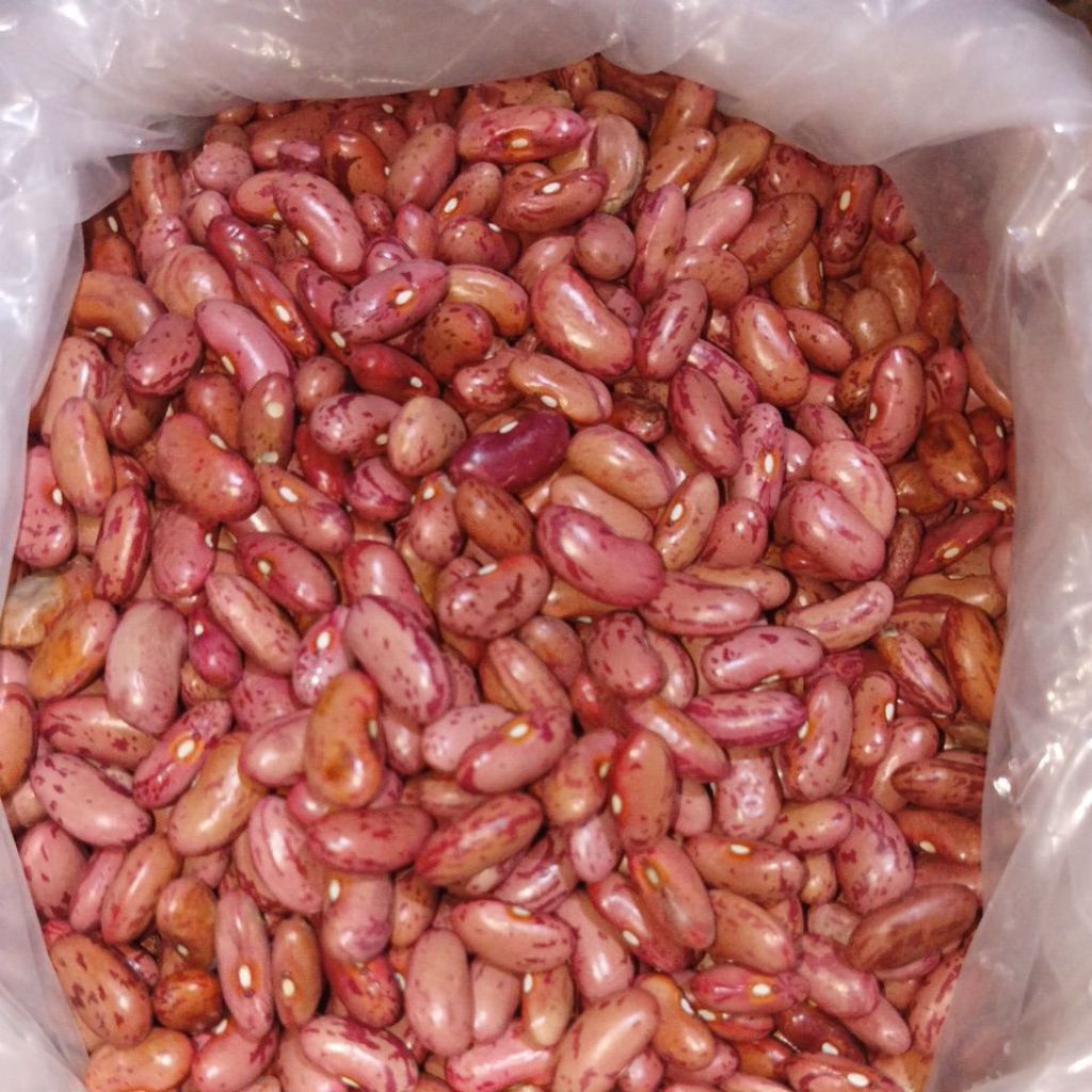 KACANG MERAH KERING