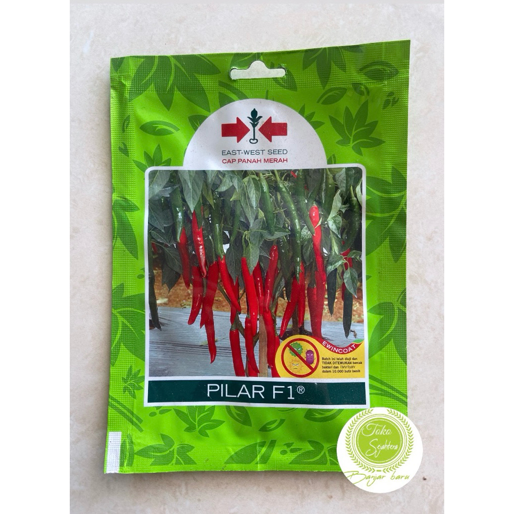 Benih Cabai Besar PILAR F1 125 Biji - Bibit Cabe Cap Panah Merah