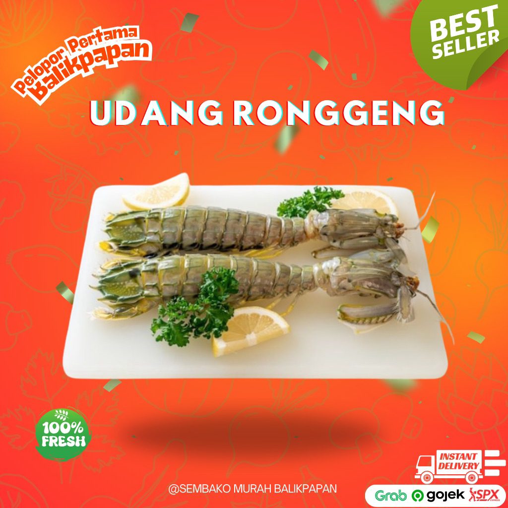 Udang Ronggeng / Mantis Frozen 500 gr